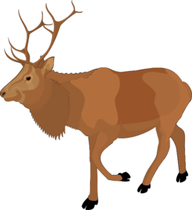 Brown Moose Clip Art
